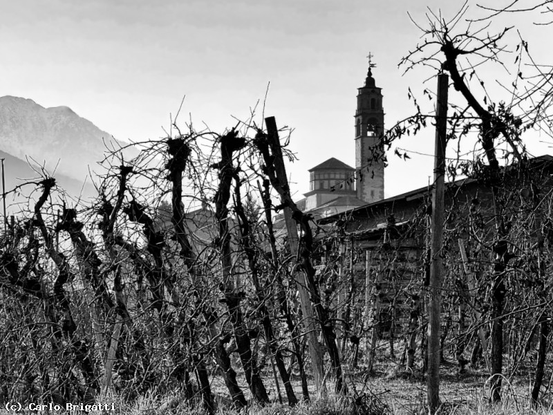 Immagine scorrevole: Meleti